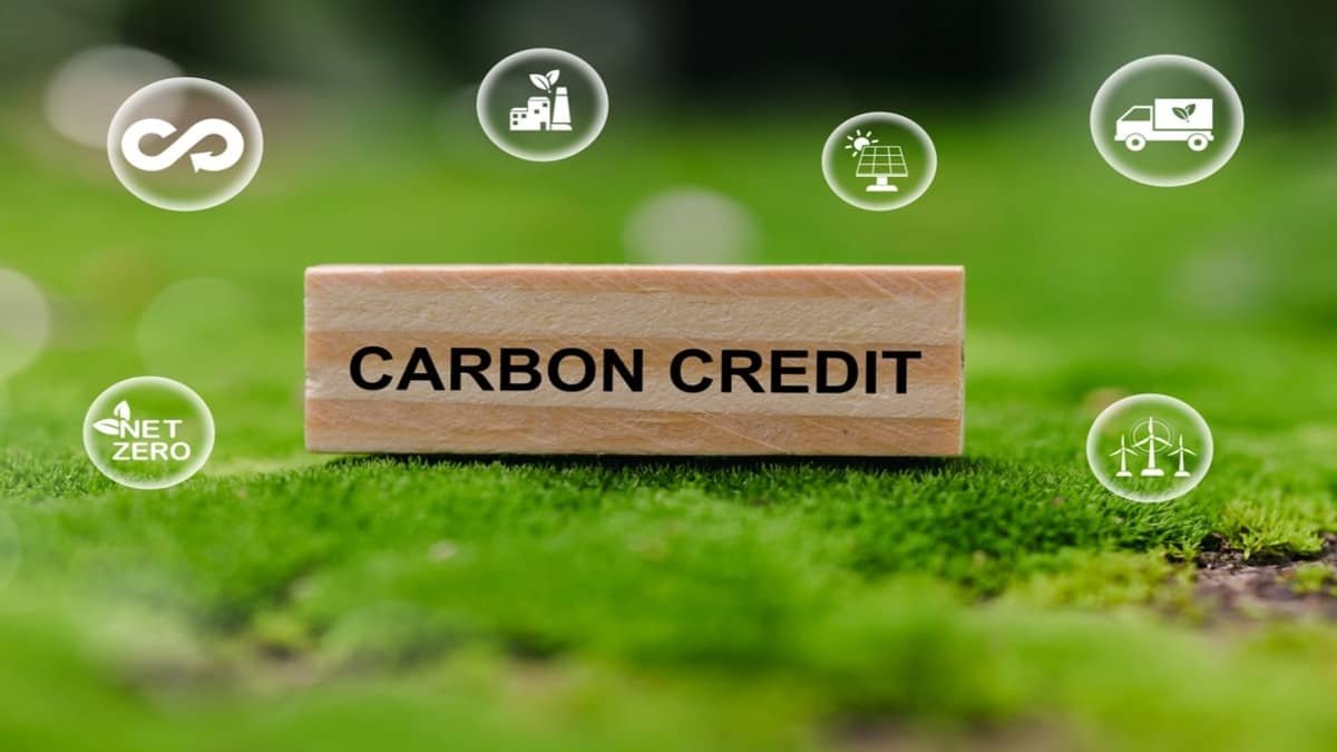 Go Rewatt Carbon Credit